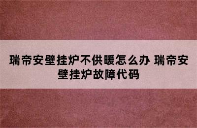 瑞帝安壁挂炉不供暖怎么办 瑞帝安壁挂炉故障代码